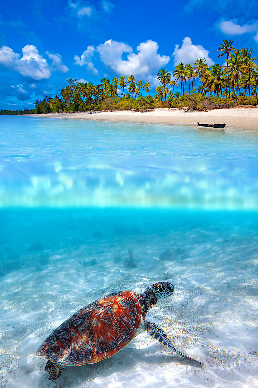 Zanzibar