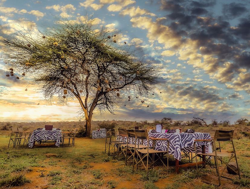 Bushbreakfast