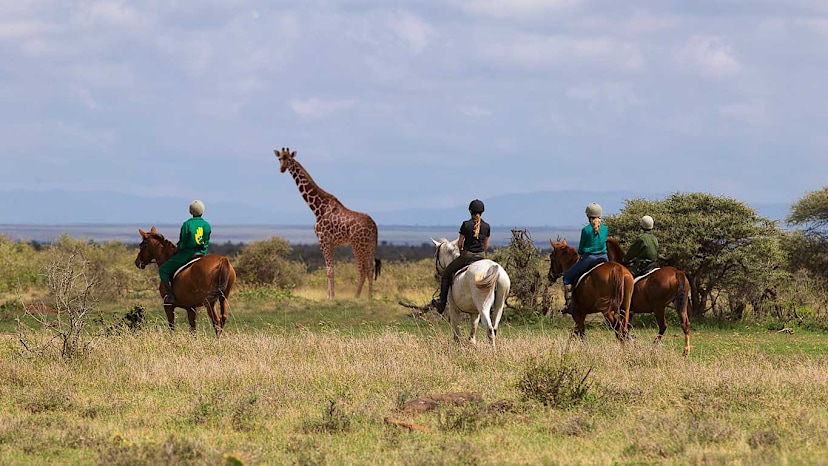 Horseback Riding