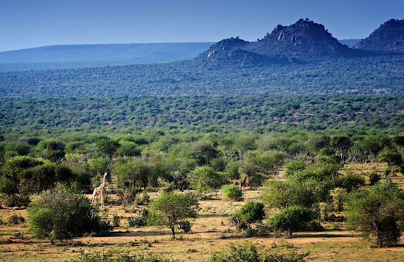 LAIKIPIA