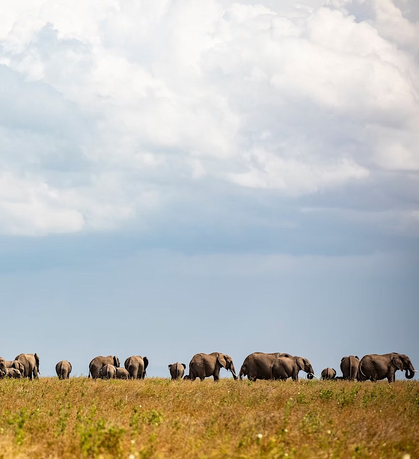Segera Conservancy