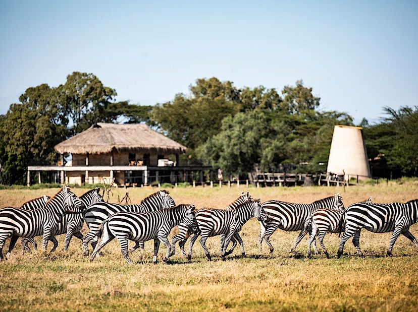 LAIKIPIA