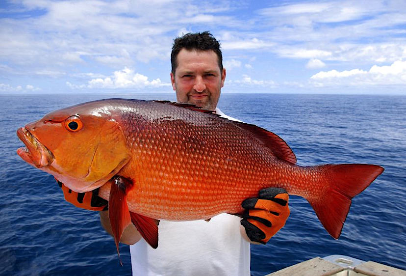 Fishing