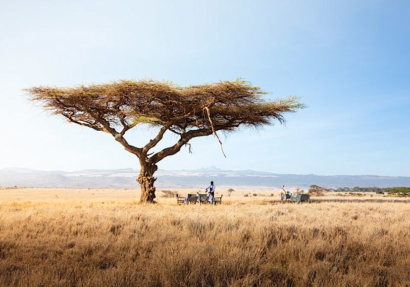 Bush Dining