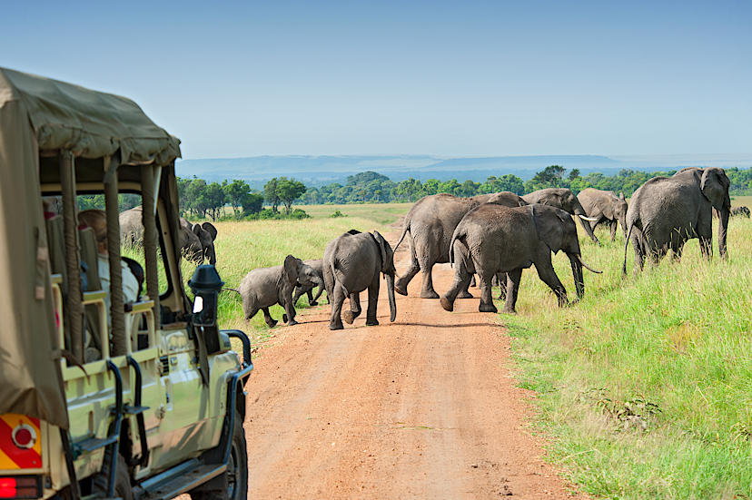 LAIKIPIA TO MASAI MARA