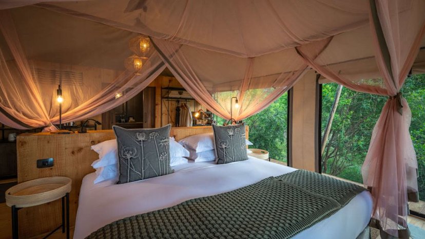 Guest Tent