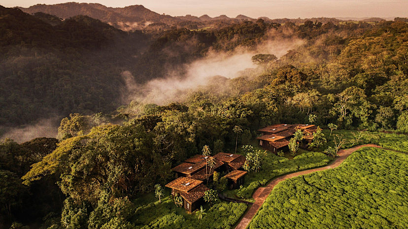 NYUNGWE