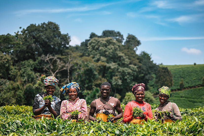 NYUNGWE