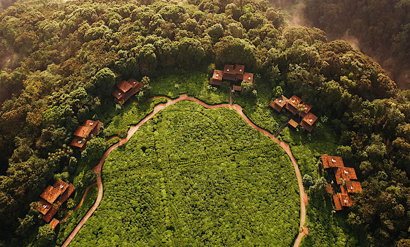 One & Only Nyungwe House