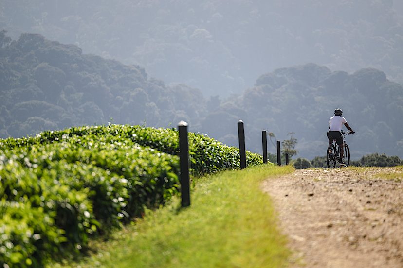 KIGALI TO NYUNGWE