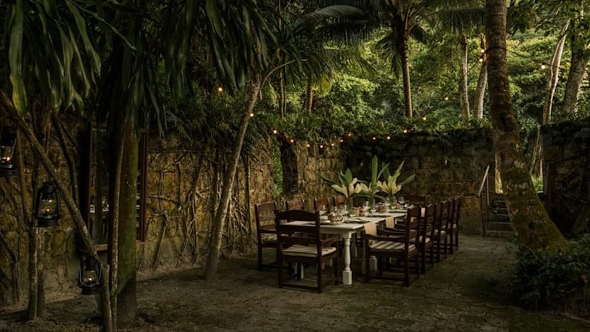 Dining Experience Ruin
