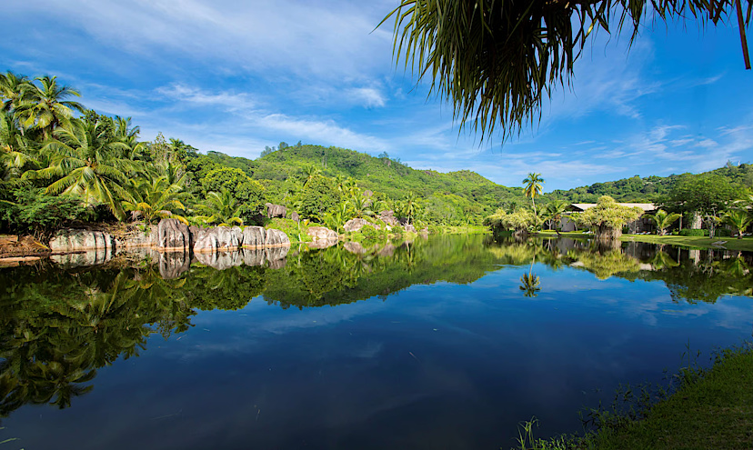 Lagoon