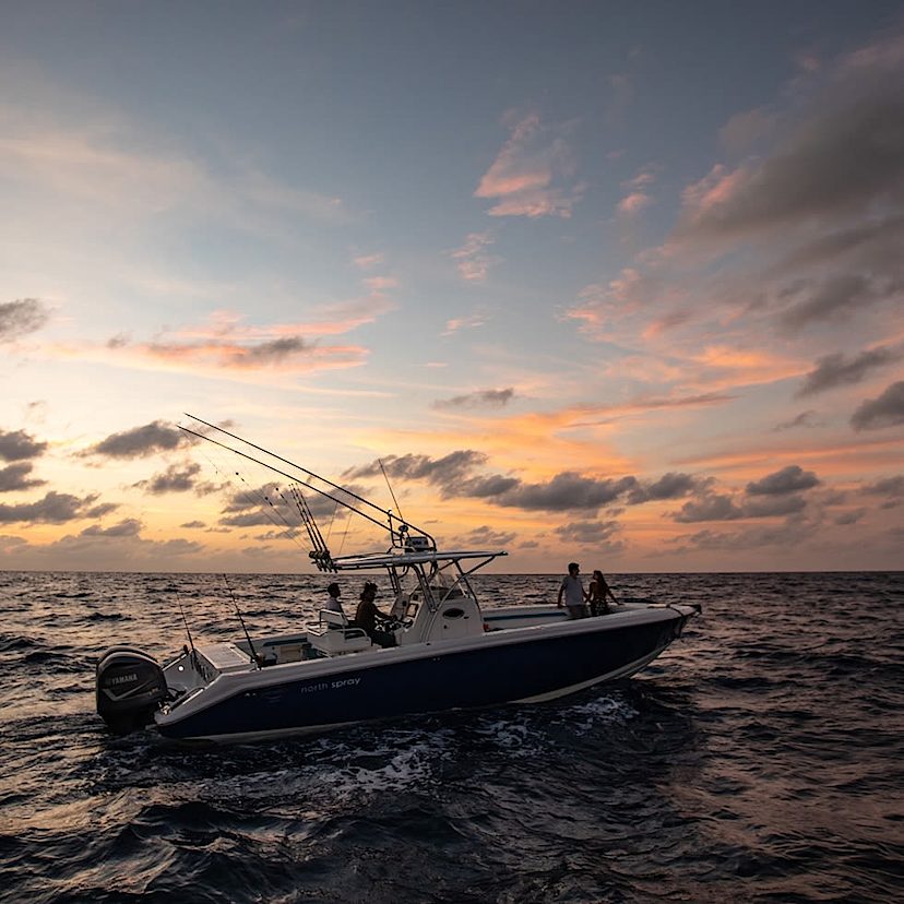 Sunset cruise