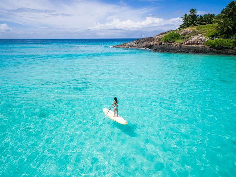 Stand Up Paddle Board