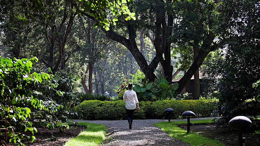 Gardens
