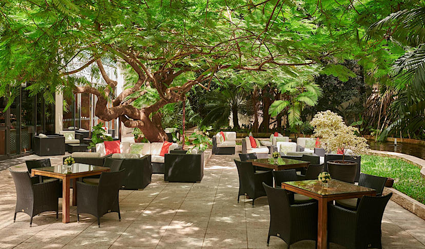 Terrace