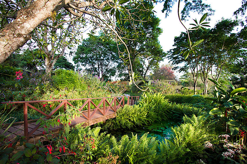 Gardens