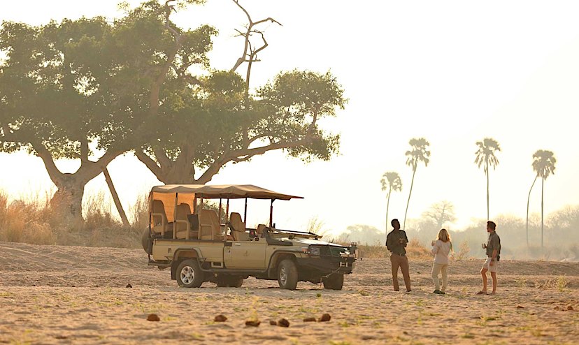 Safari Experience