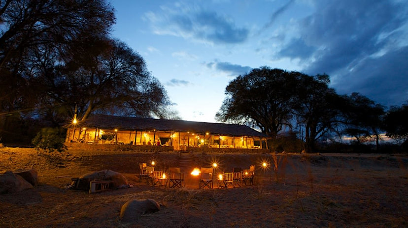Ruaha River Lodge Foxes