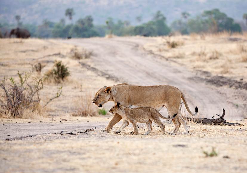RUAHA