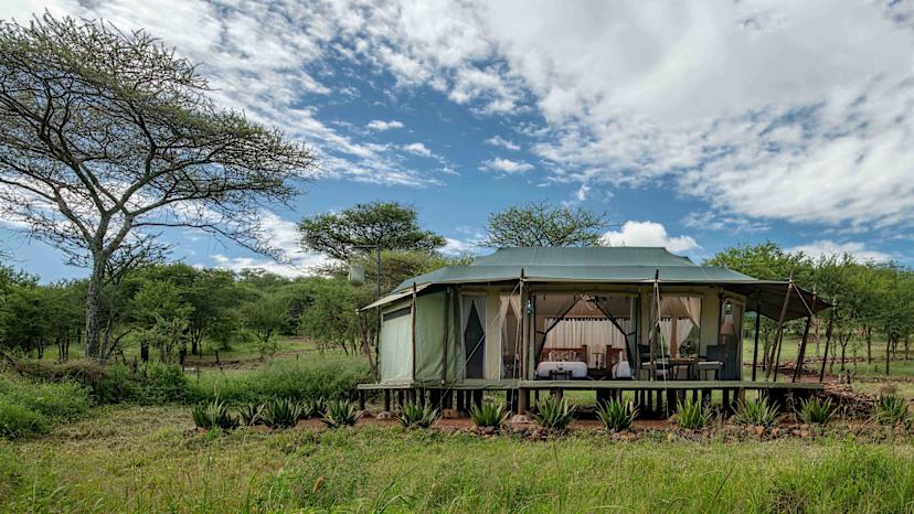 Ole Serai Moru Kopjes Luxury Camp
