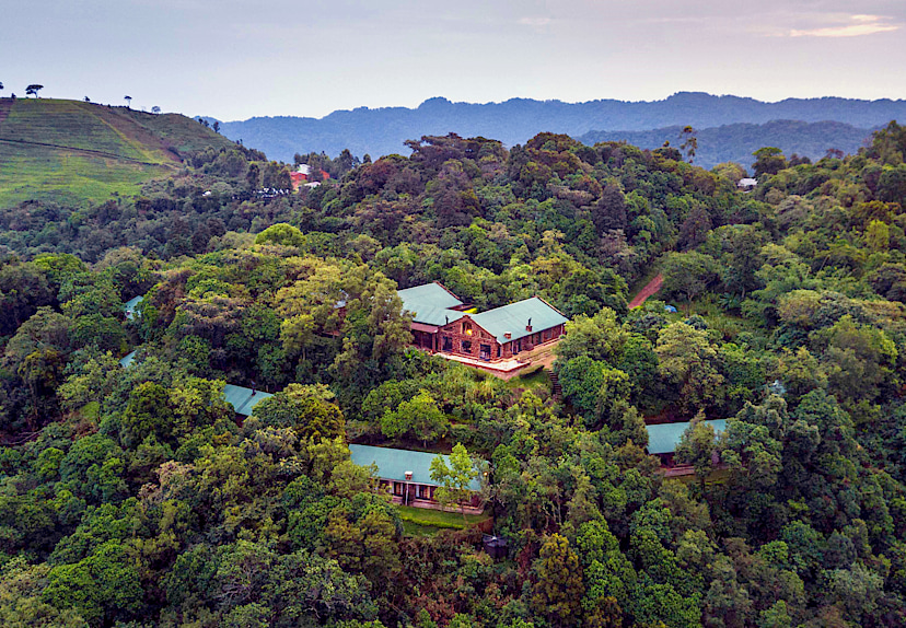 Clouds Mountain Gorilla Lodge