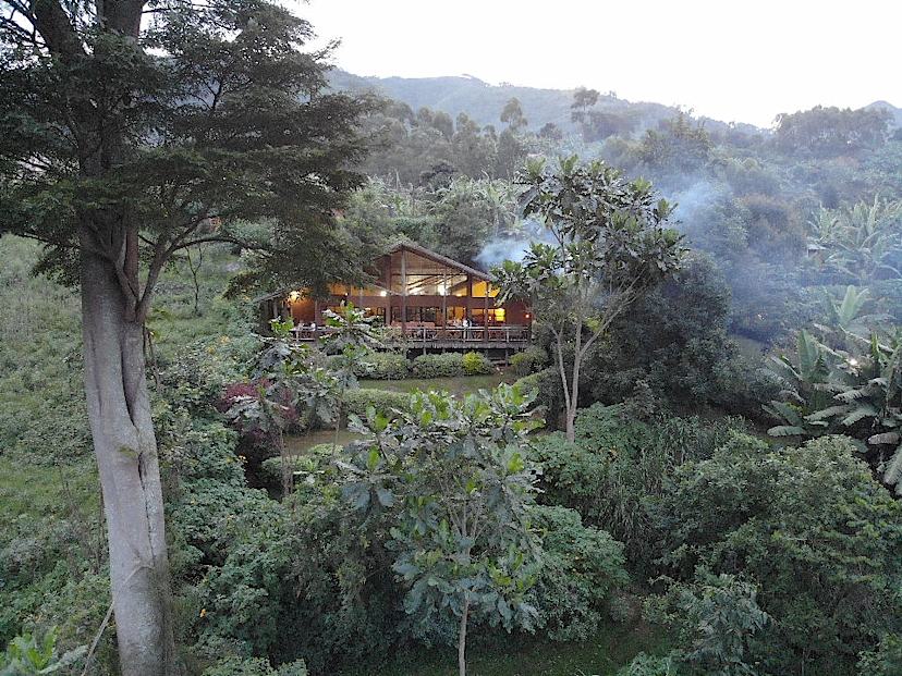 Views Of Mahogany Springs
