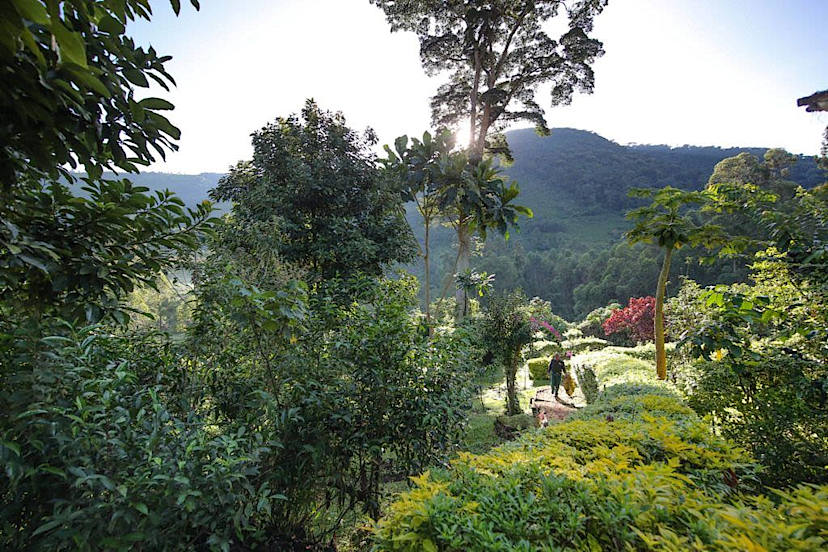 Gardens