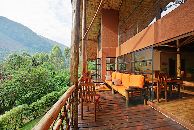 Views from the Terrace
