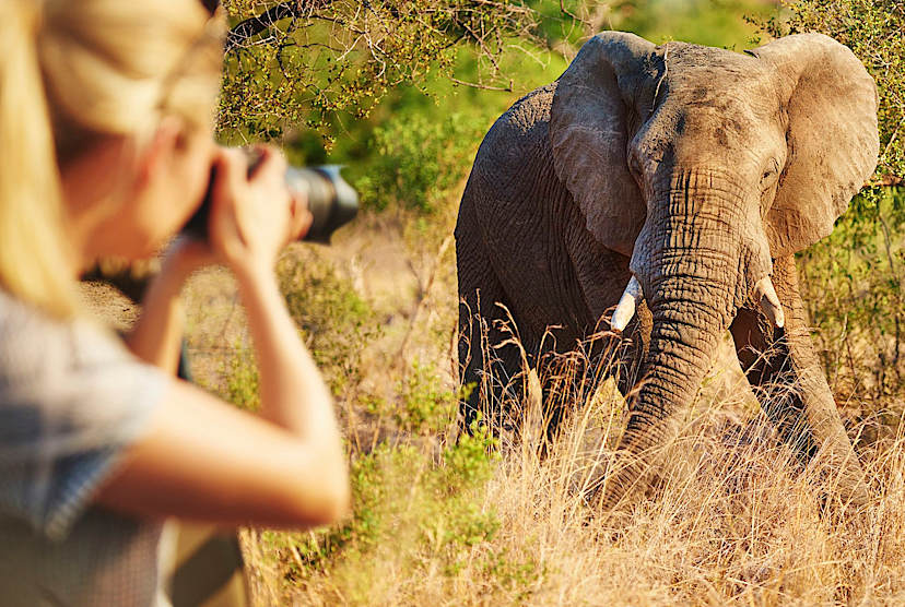 CAPE TOWN TO SABI SANDS