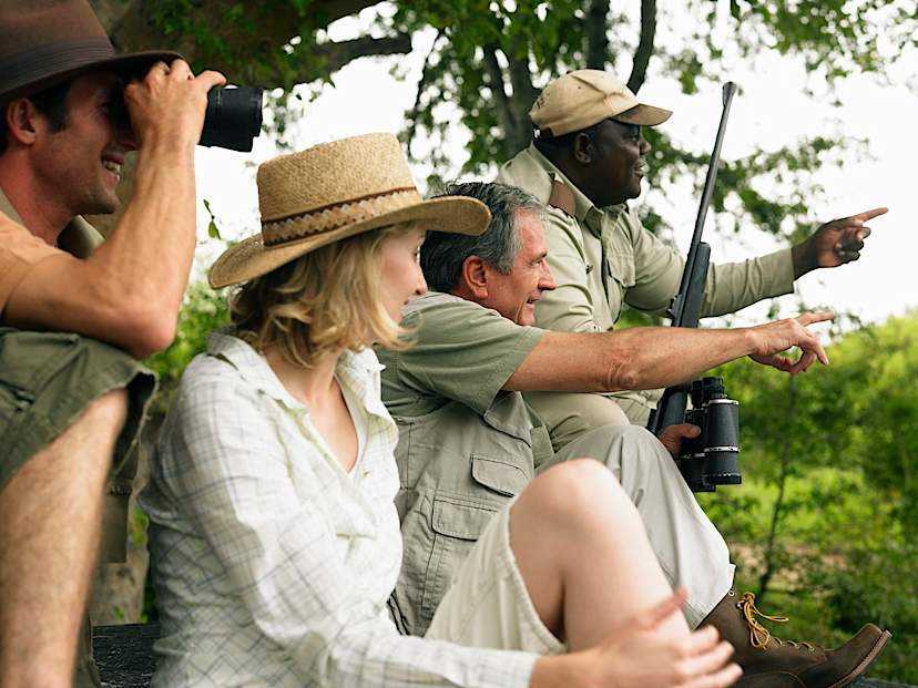CAPE TOWN TO SABI SANDS