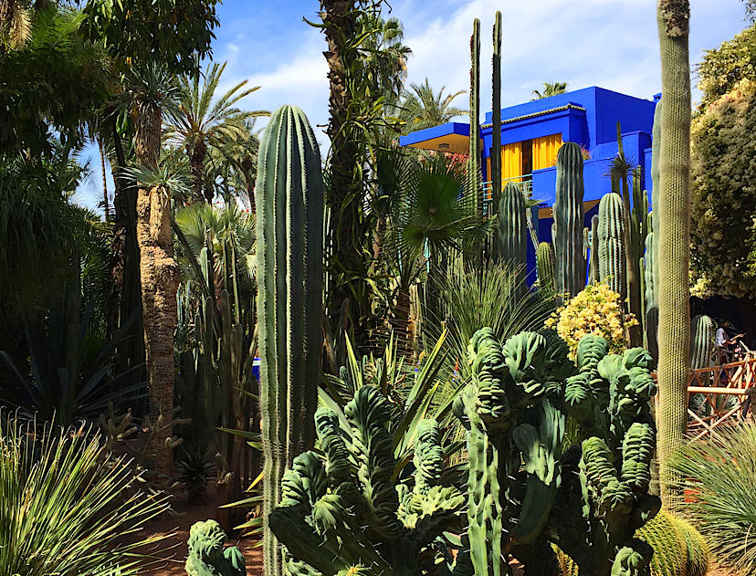 Jardin Majorelle