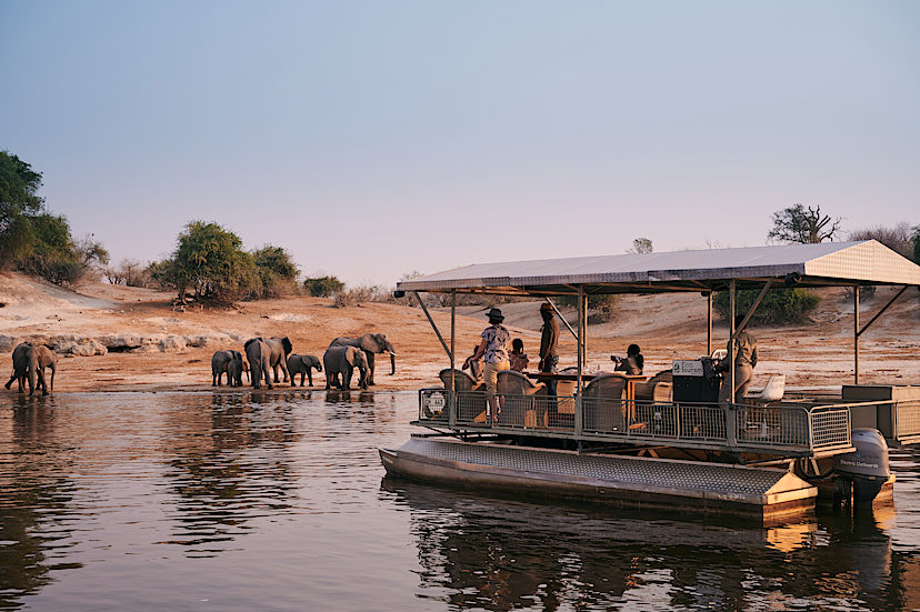 Boat Safari, Chobe Game Lodge