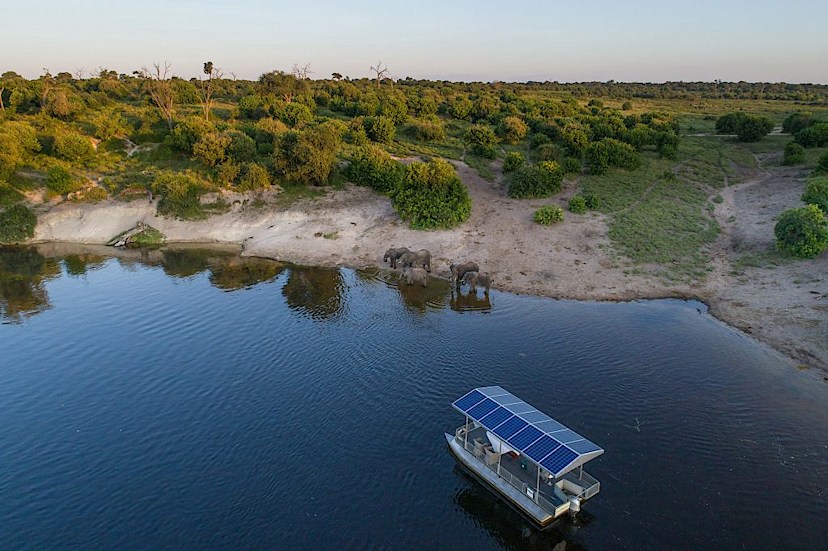 Boat Safari