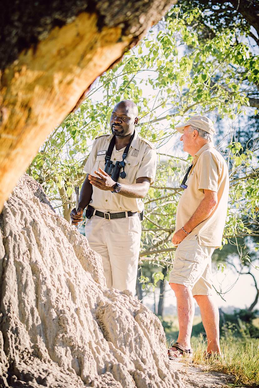 Guided Bush Walk, Okavango