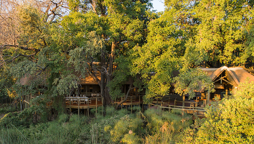 Camp Moremi