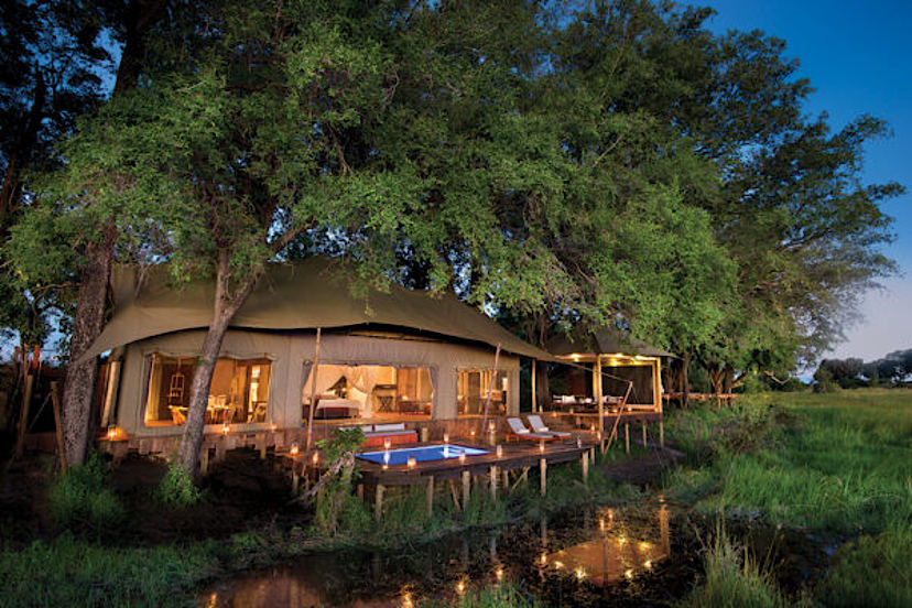 Duba Plains Camp
