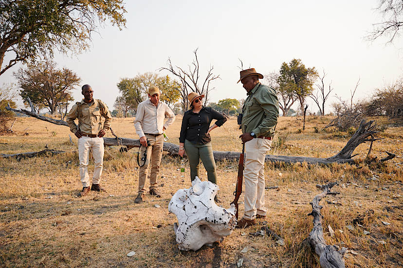 Walking Safaris