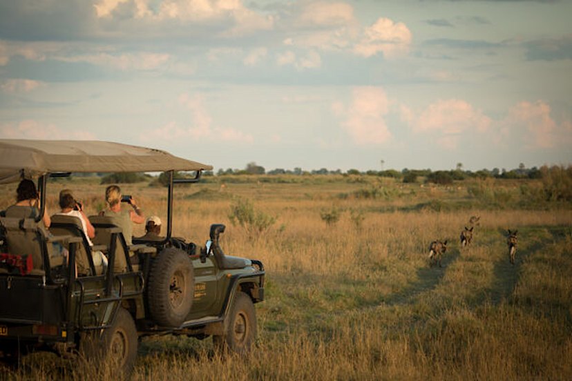 Game Drive at Duba Plains
