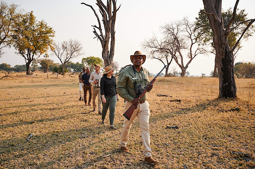 Guided Bush Walk, Okavango