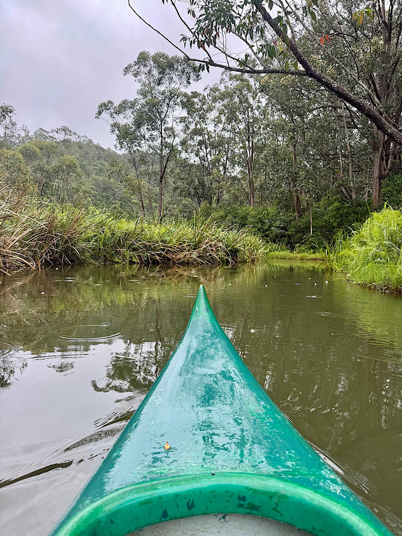ANDASIBE-MANTADIA NATIONAL PARK