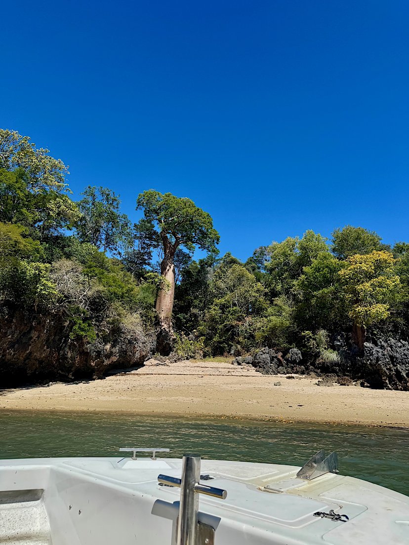 ANJAJAVY