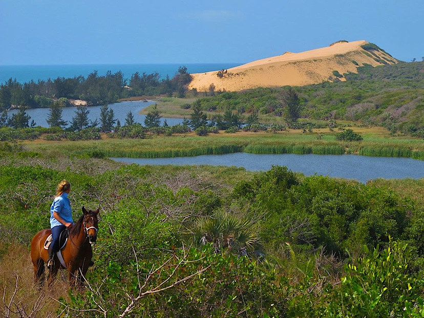 Horse Back Riding