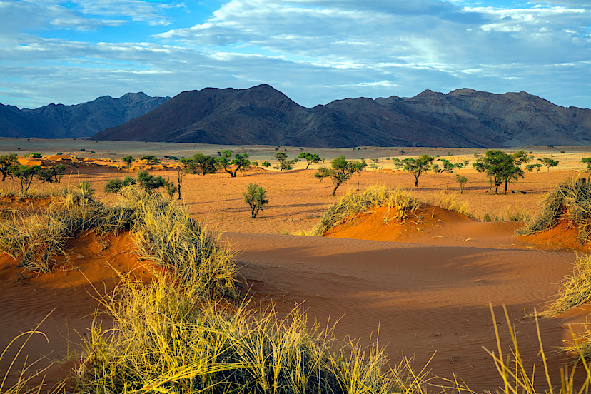 Namib Desert