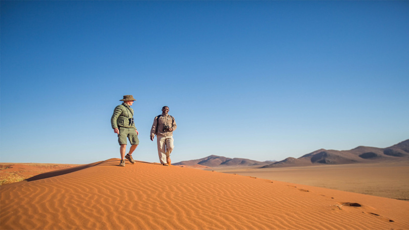 Dune Walk
