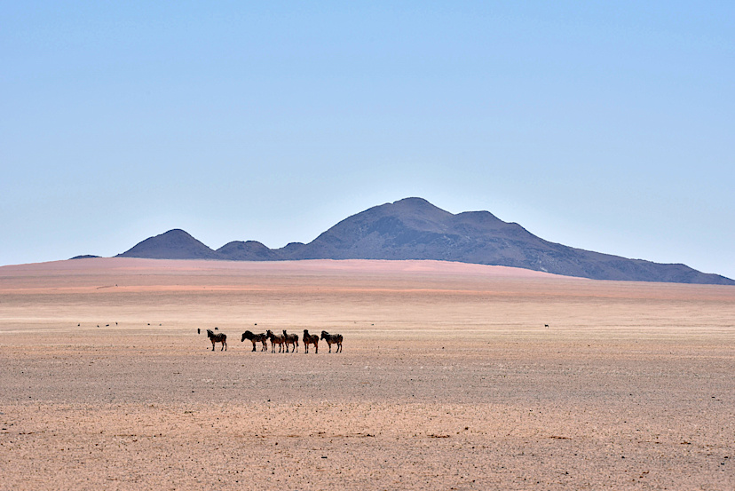 Namib Naukluft National Park