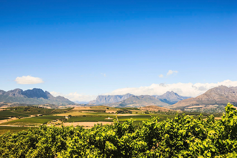 Stellenbosch Winelands
