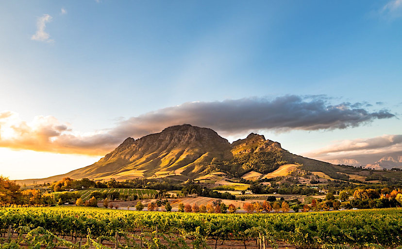 Cape Winelands