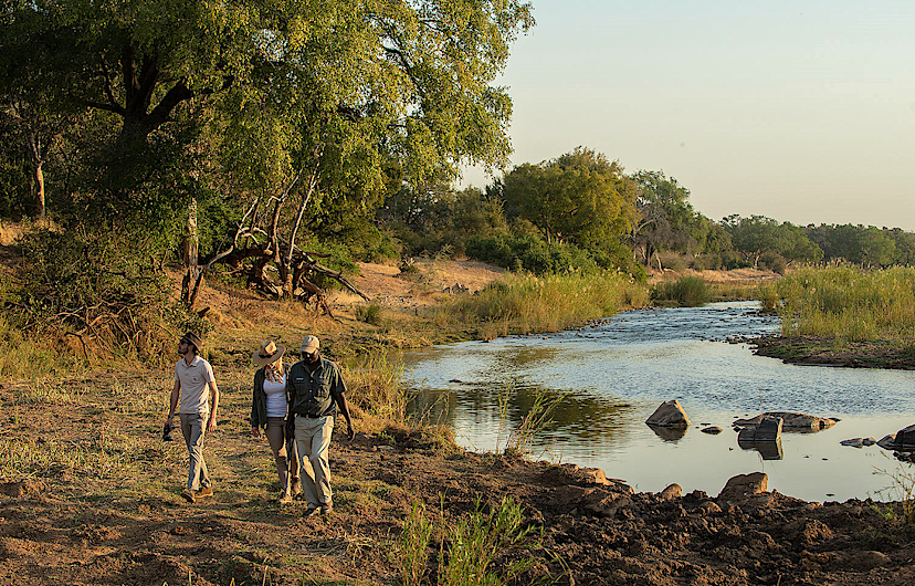 Safari Walks