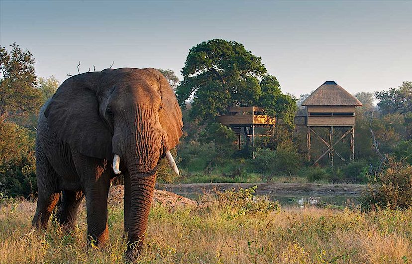 KRUGER
